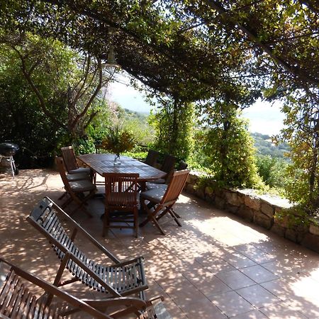 Villas Valinco San Martinu Corse Du Sud - Vue Et Proche Mer - Piscines-7 Chambres Olmeto  Pokój zdjęcie