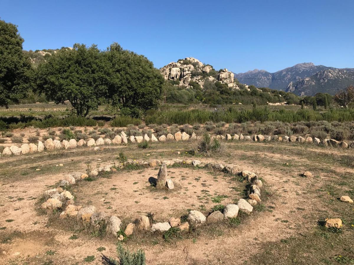 Villas Valinco San Martinu Corse Du Sud - Vue Et Proche Mer - Piscines-7 Chambres Olmeto  Zewnętrze zdjęcie