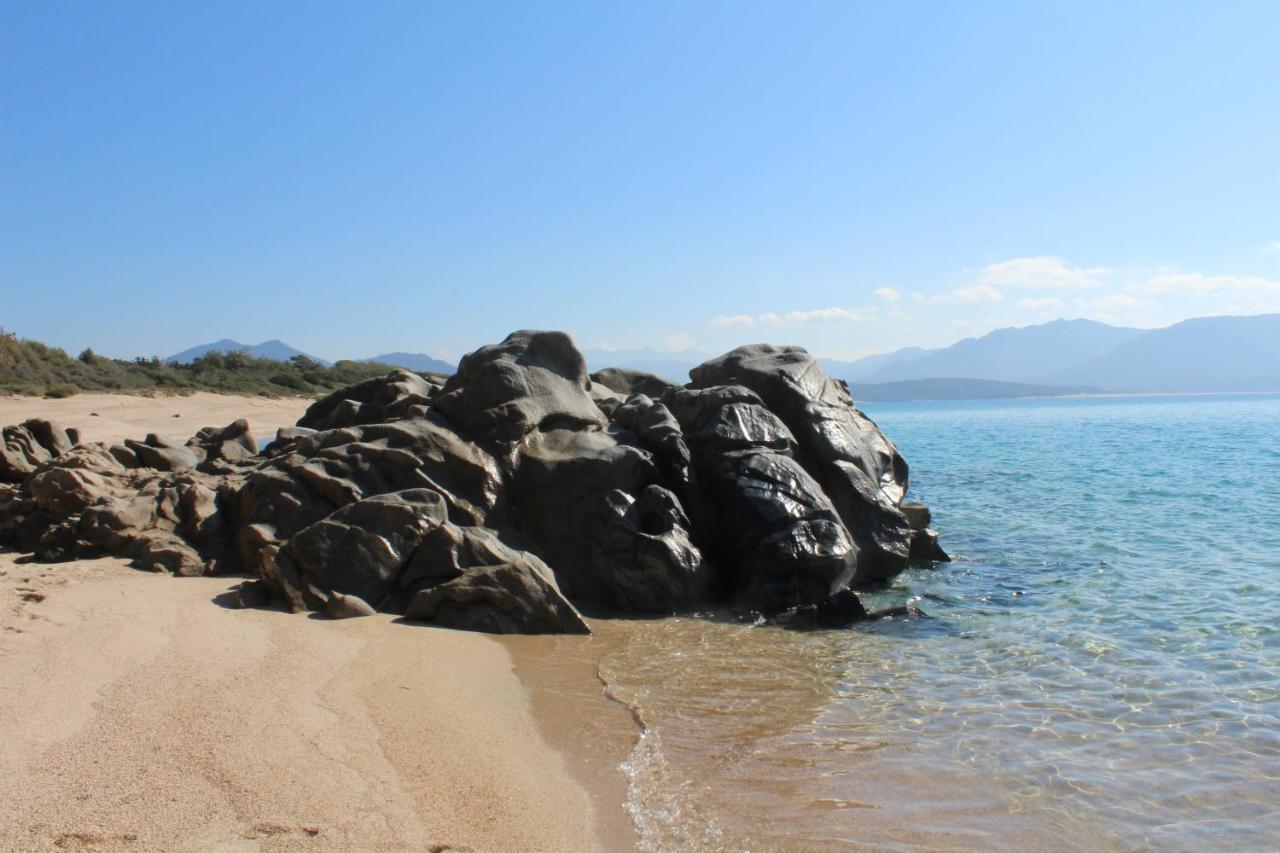 Villas Valinco San Martinu Corse Du Sud - Vue Et Proche Mer - Piscines-7 Chambres Olmeto  Zewnętrze zdjęcie