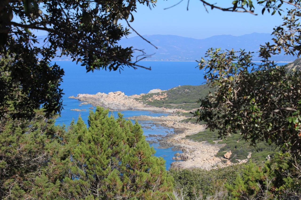 Villas Valinco San Martinu Corse Du Sud - Vue Et Proche Mer - Piscines-7 Chambres Olmeto  Zewnętrze zdjęcie