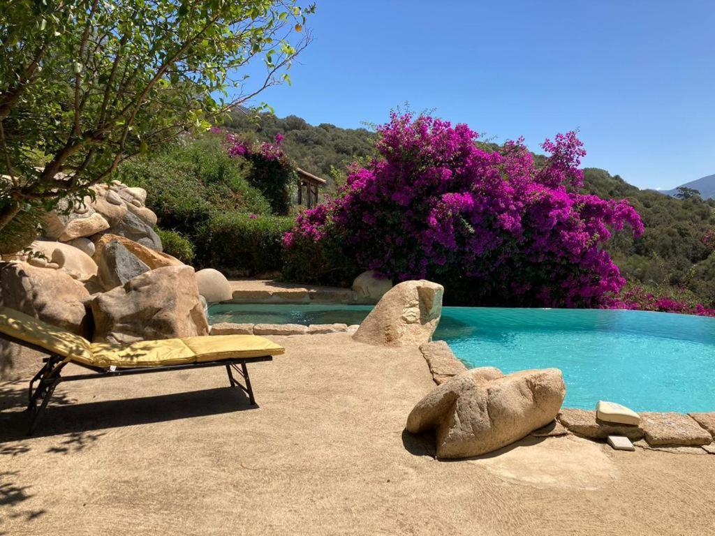 Villas Valinco San Martinu Corse Du Sud - Vue Et Proche Mer - Piscines-7 Chambres Olmeto  Zewnętrze zdjęcie